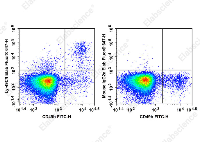 Elab Fluor<sup>®</sup> 647 Anti-Mouse Ly-49C/I Antibody[5E6]-searchlist-1