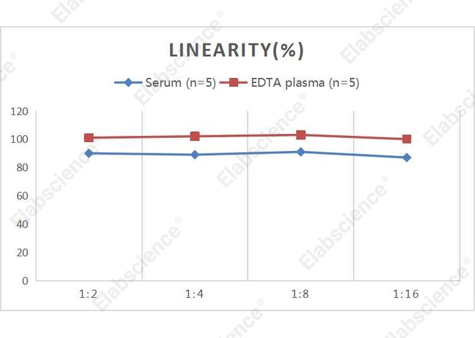 QuicKey Pro Human FXN (Frataxin) ELISA Kit - 2