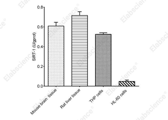 Sirtuin 1 (SIRT-1) Activity Assay Kit - 2