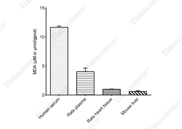 Malondialdehyde (MDA) Colorimetric Assay Kit (TBA Method) - 2