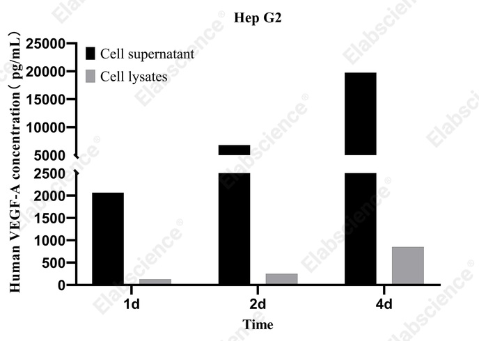 CellaQuant™ Human VEGF-A (Vascular Endothelial Cell Growth Factor A) ELISA Kit - 4