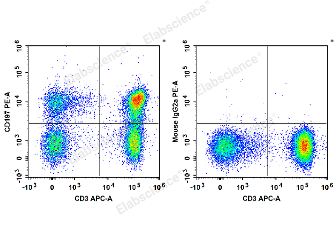 Human peripheral blood lymphocytes are stained with APC Anti-Human CD3 Antibody and PE Anti-Human CD197/CCR7 Antibody (Left). Lymphocytes are stained with APC Anti-Human CD3 Antibody and PE Mouse IgG2a, κ Isotype Control (Right).