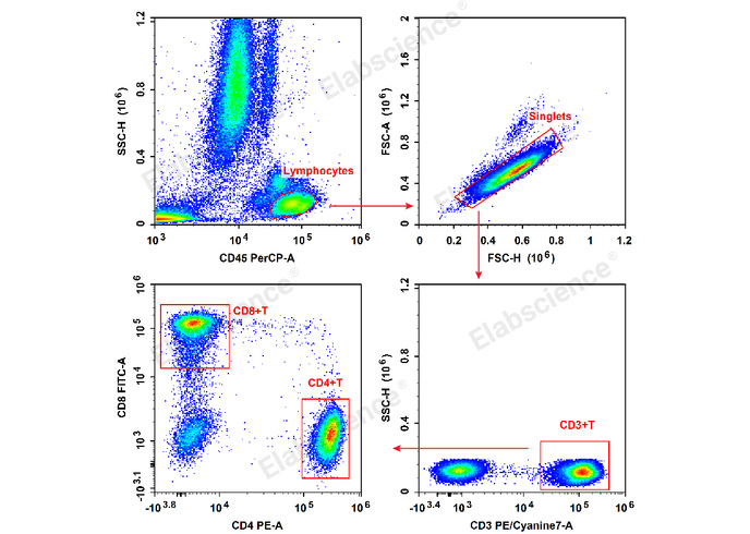 Human peripheral blood lymphocytes are stained with Anti-Human CD8a-FITC/CD4-PE/CD3-PE/Cyanine7/CD45-PerCP Cocktail.