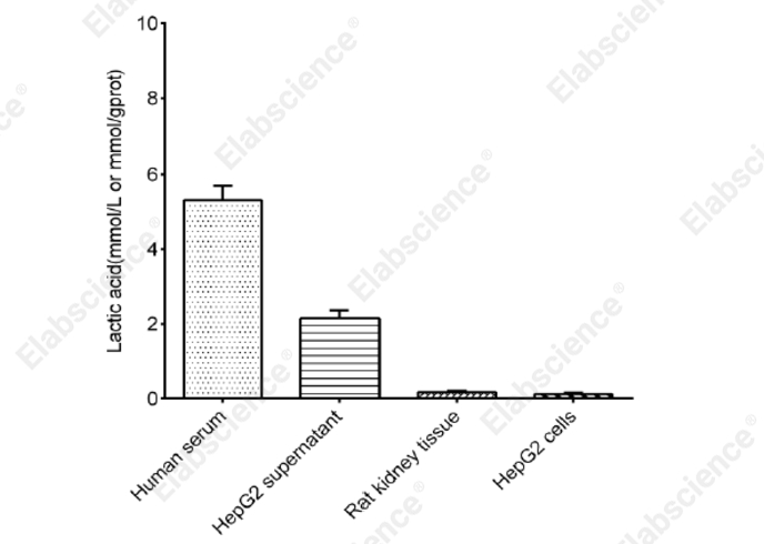 L-Lactic Acid (LA) Colorimetric Assay Kit - 2