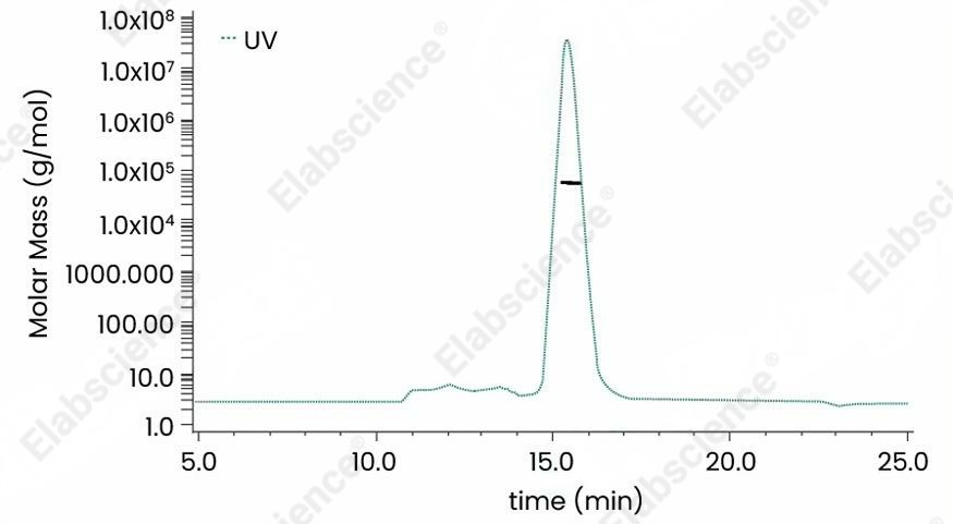Recombinant Human B7-H3/CD276 Protein (His Tag) - 2