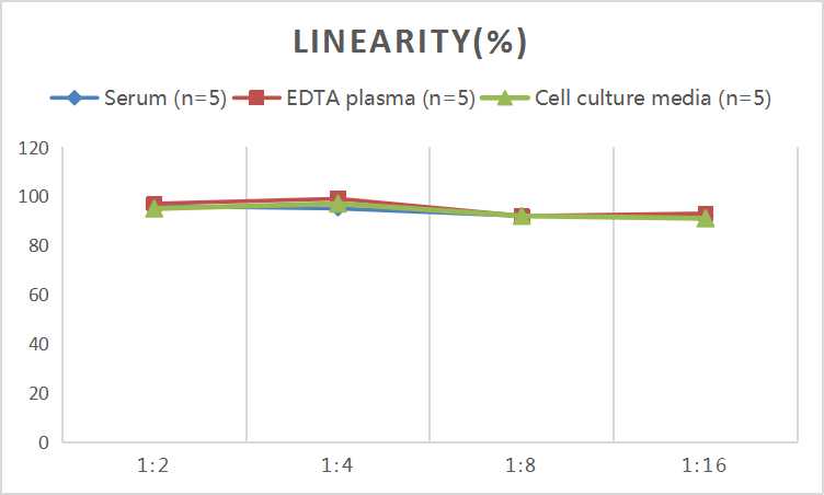 Mini Sample Human CXCL16 (Chemokine C-X-C-Motif Ligand 16) ELISA Kit - 2