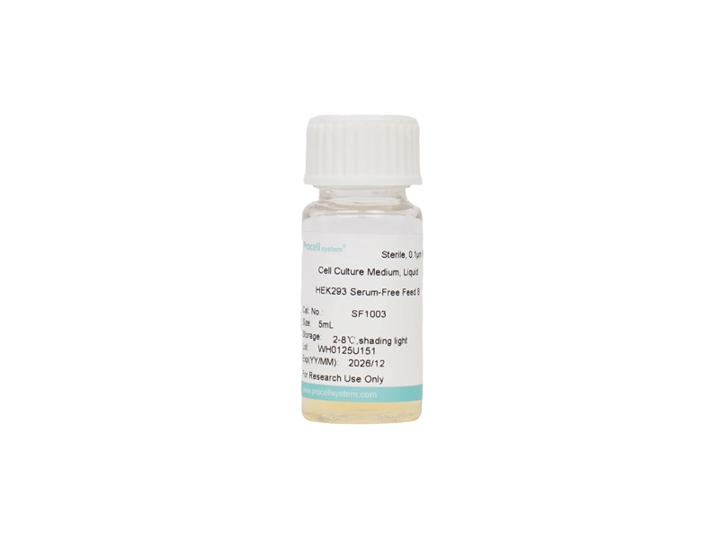 HEK293 Serum-Free Feed B