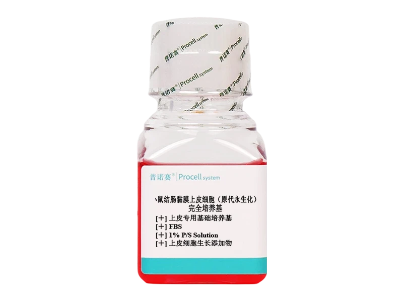 https://789.bio/ec/wDXiV3cE