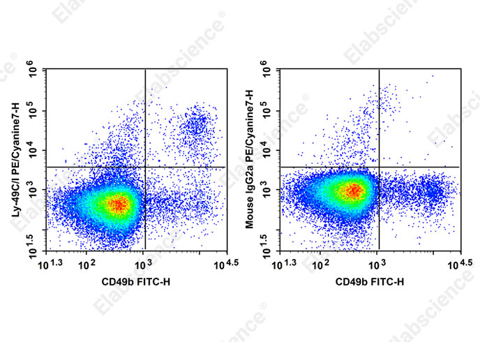 PE/Cyanine7 Anti-Mouse Ly-49C/I Antibody[5E6]-searchlist-1