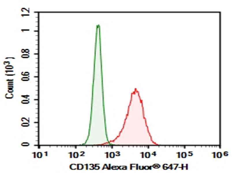 Purified Anti-Human CD135 Antibody[BV10(BV10A4)] - 1