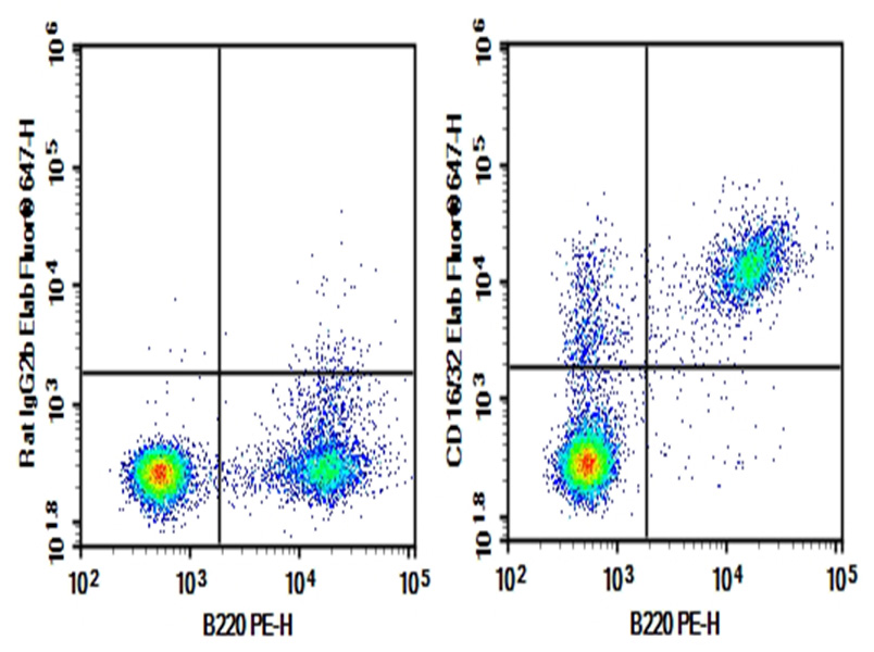 Purified Anti-Mouse CD16/32 Antibody[2.4G2]-1