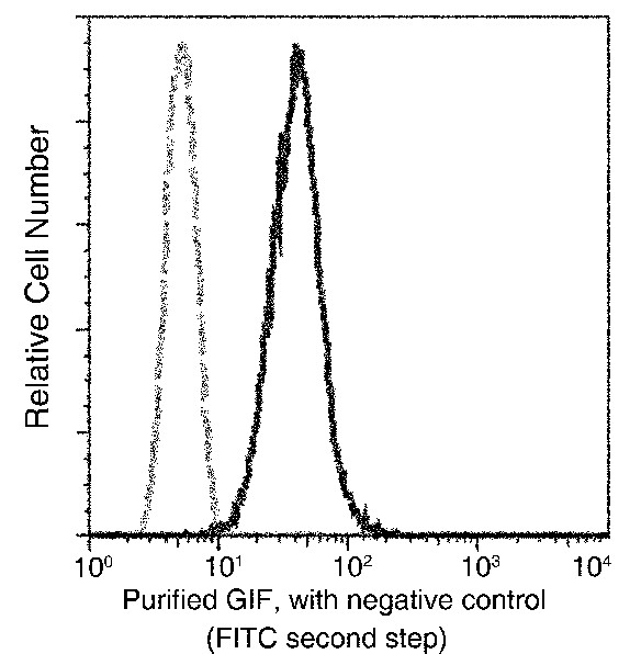 Recombinant Gastric intrinsic factor/GIF Monoclonal Antibody-searchlist-1