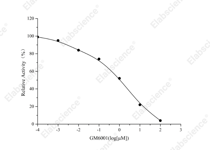 Matrix Metalloproteinase 3 (MMP-3) Inhibitor Screening Kit - 1
