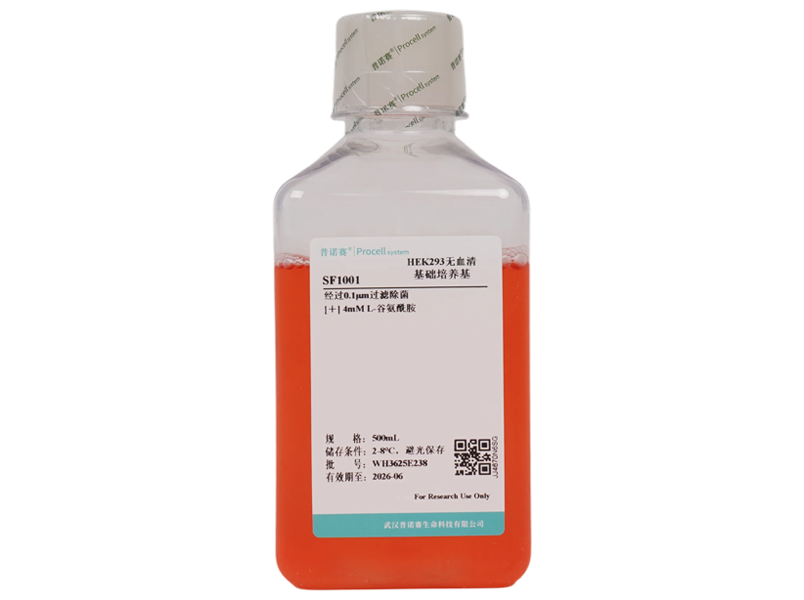 HEK293 Serum-Free Basal Medium-searchlist-1