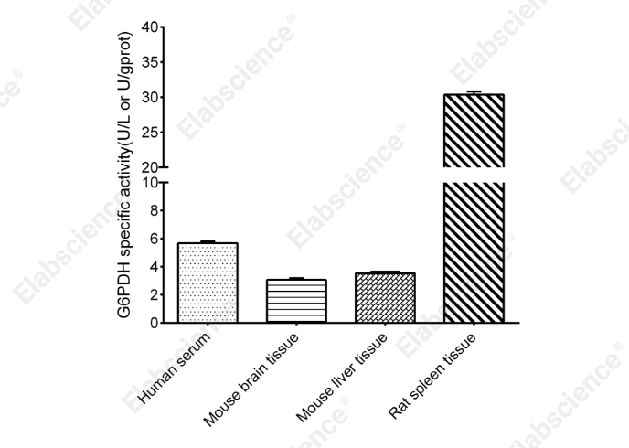 Glucose-6-Phosphate Dehydrogenase (G-6-PD) Activity Assay Kit - 2