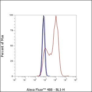 Recombinant CD74 Monoclonal Antibody - small - 4