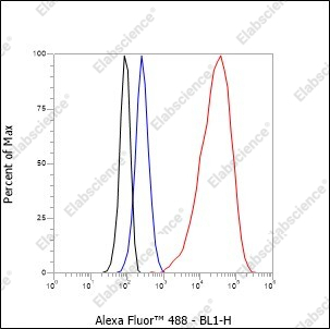 Recombinant Keratin 20 Monoclonal Antibody - 5
