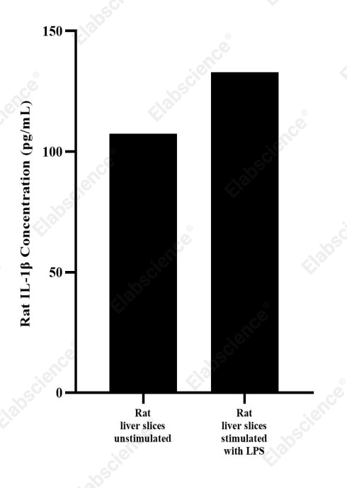 Uncoated Rat IL-1β(Interleukin 1 Beta) ELISA Kit - 2
