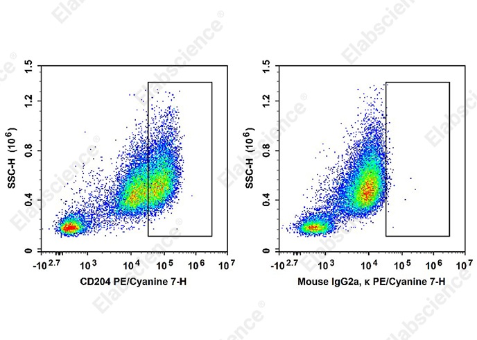 PE/Cyanine7 Anti-Human CD204 Antibody[7C9C20]-searchlist-1