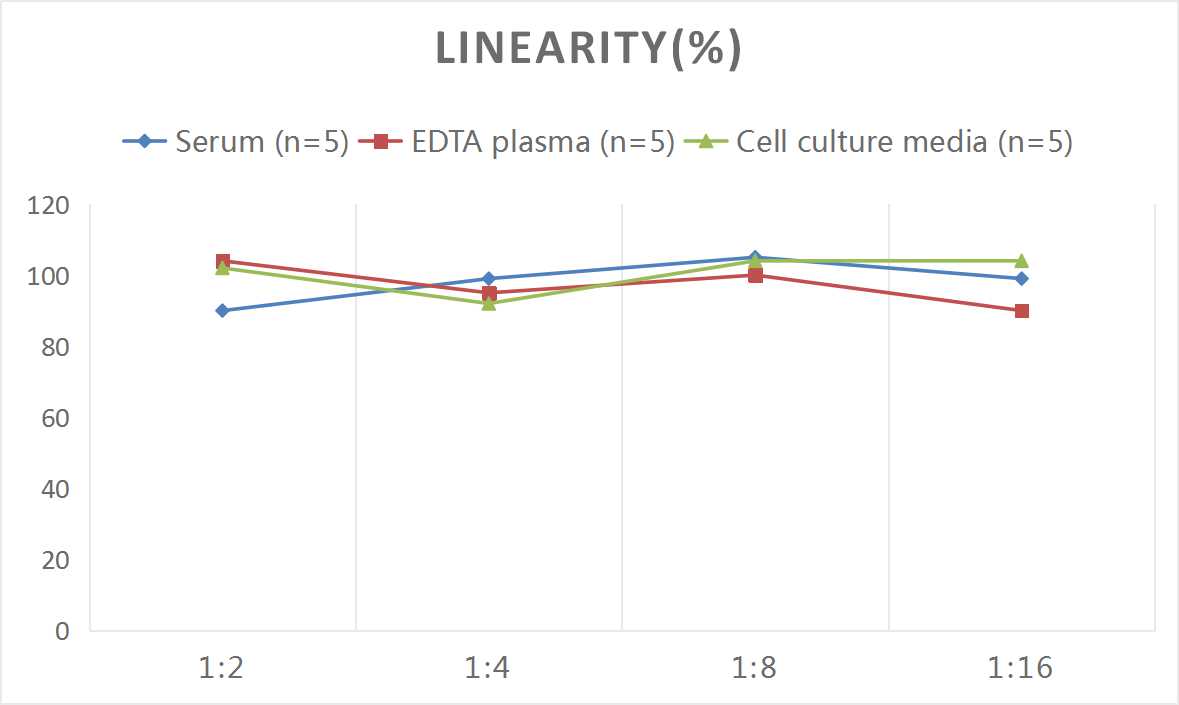 Rat IL-1β(Interleukin 1 Beta) ELISA Kit-产品推荐-2