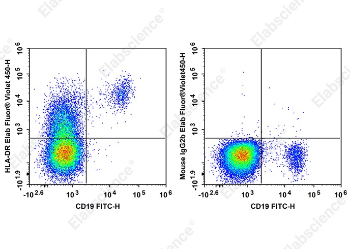 Elab Fluor<sup>®</sup> Violet 450 Anti-Human HLA-DR Antibody[LN3] - 1