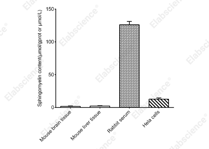 Sphingomyelin (SM) Fluorometric Assay Kit - 2