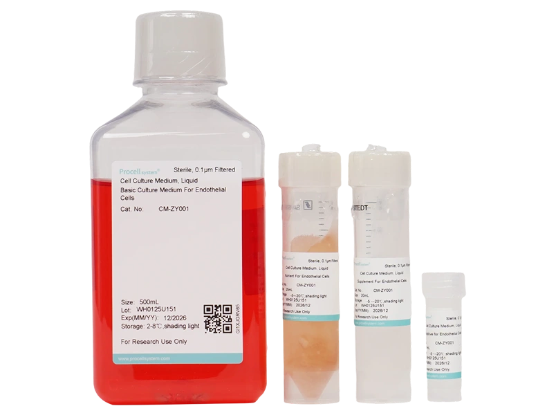 Endothelial Cell Medium (ECM)
