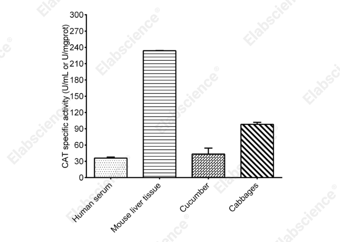 Catalase (CAT) Activity Assay Kit - 2