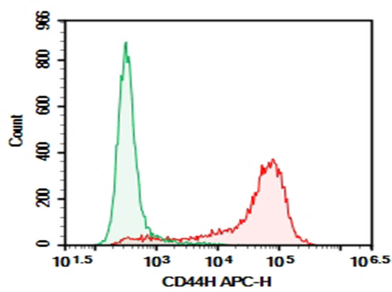 Purified Anti-Rat CD44H Antibody[OX-49]-searchlist-1