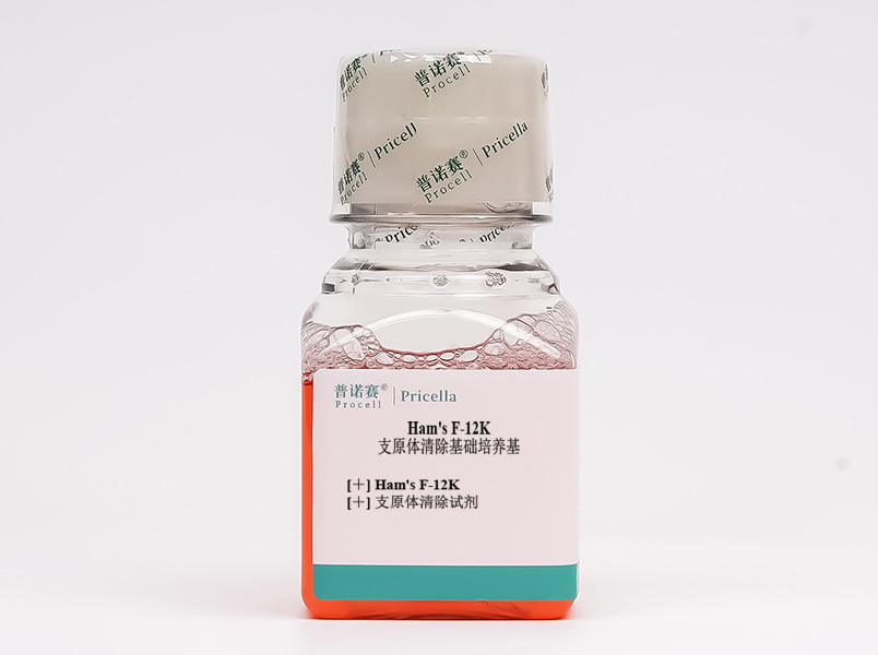 https://789.bio/ec/x10dP4