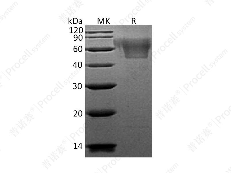 https://789.bio/ec/x18leD