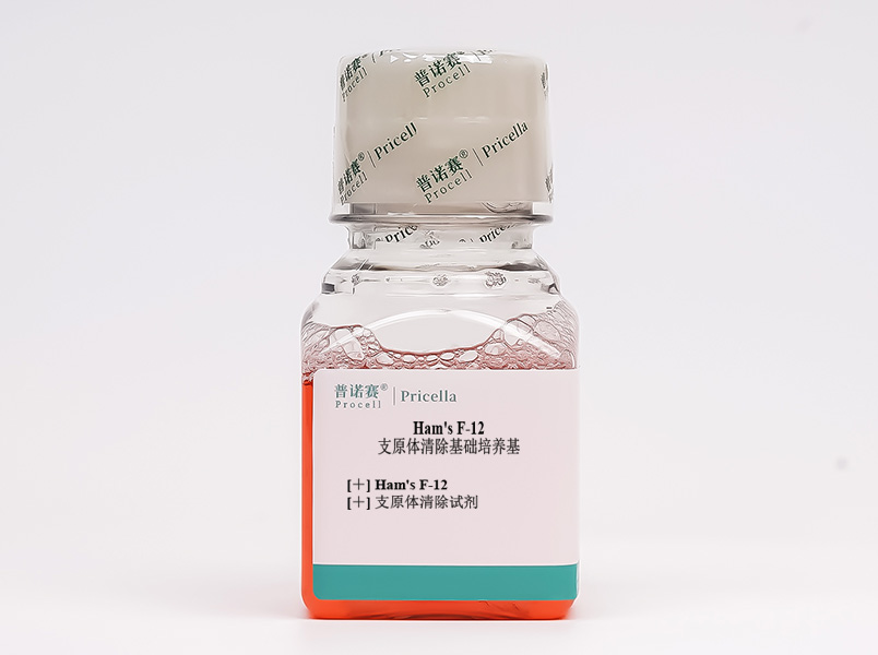 https://789.bio/ec/x1Otq1