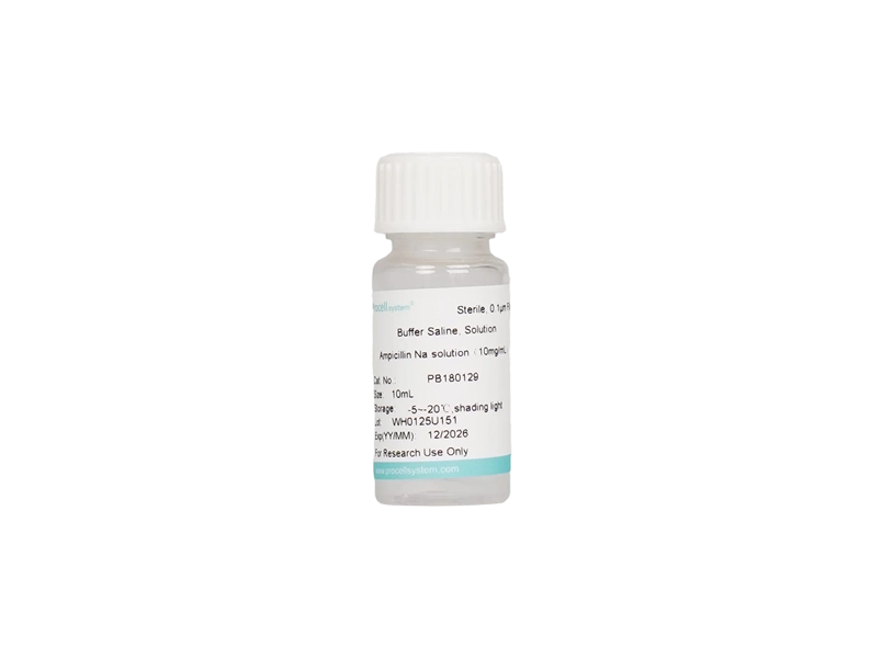 10 mg/mL Ampicillin Sodium Solution