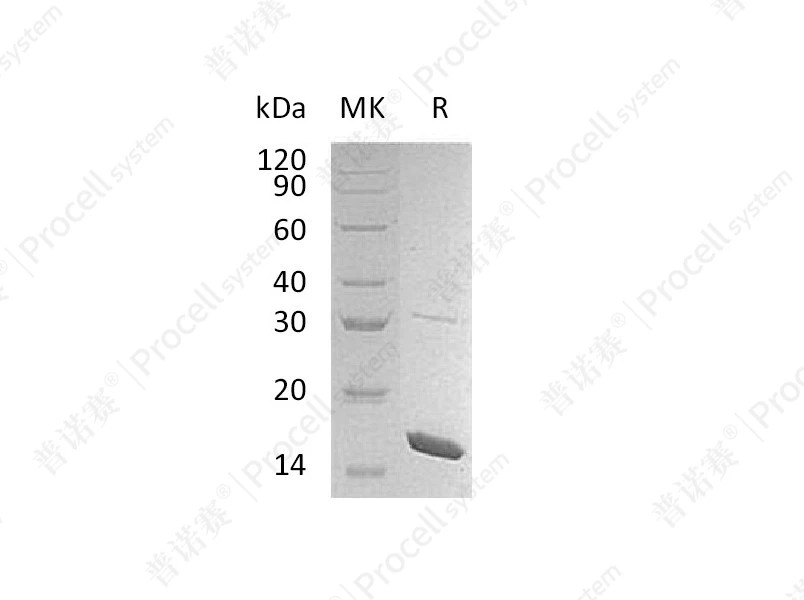 https://789.bio/ec/x5Ktq9