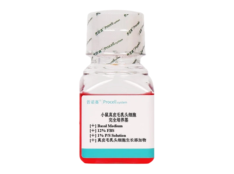 https://789.bio/ec/x5m6Q9sM