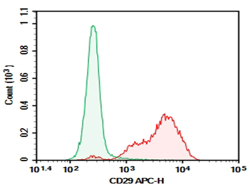 Elab Fluor® 488 Rat IgG2a, κ Isotype Control[2A3]-产品推荐-1
