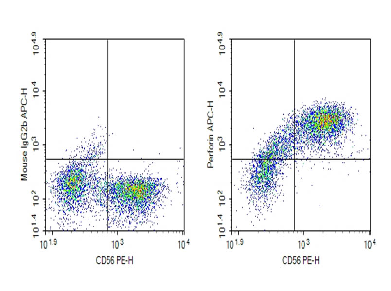 Human peripheral blood lymphocytes were stained with 0.2 ug Purified Anti-Human Perforin Antibody[&delta;G9] (Right) and 0.2 ug Mouse IgG2b, &kappa; Isotype Control (Left), followed by APC-conjugated Goat Anti-Mouse IgG Secondary Antibody, then anti-Human CD56 PE-conjugated Monoclonal Antibody.