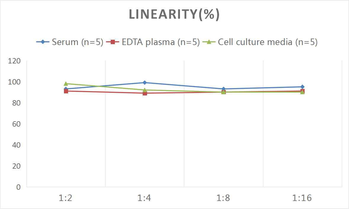 Rat IL-18(Interleukin 18) ELISA Kit-产品推荐-3