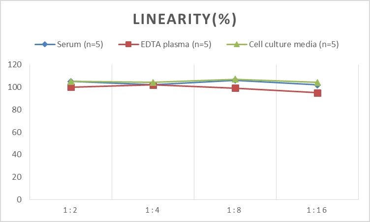 QuicKey Pro Rat VCAM-1/CD106 (Vascular Cell Adhesion Molecule 1) ELISA Kit-产品推荐-1