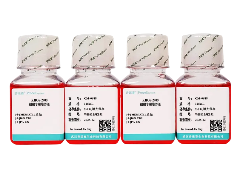 https://789.bio/ec/xHdMwVmt