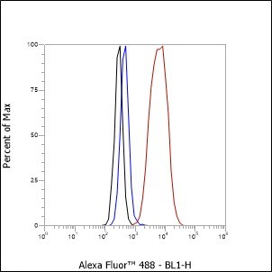 Recombinant DPEP3 Monoclonal Antibody - small - 2