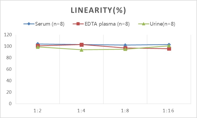 QuicKey Pro Human FE(Ferritin) ELISA Kit-1
