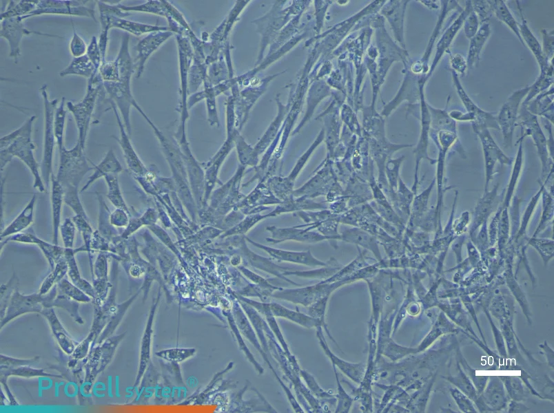 Chicken Preadipocyte Complete Medium - 6