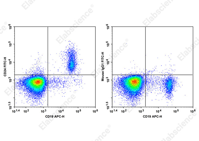 FITC Anti-Human CD24 Antibody[HIQB24]-1