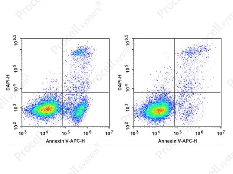 Annexin V-APC Reagent