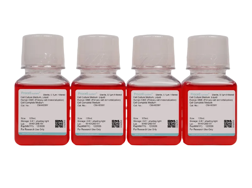 Human Small Intestinal Mucosal Epithelial (Primary cell immortalization) Cell Complete MediumHuman Small Intestinal Mucosal Epithelial (Primary cell immortalization) Cell Complete Medium - 2