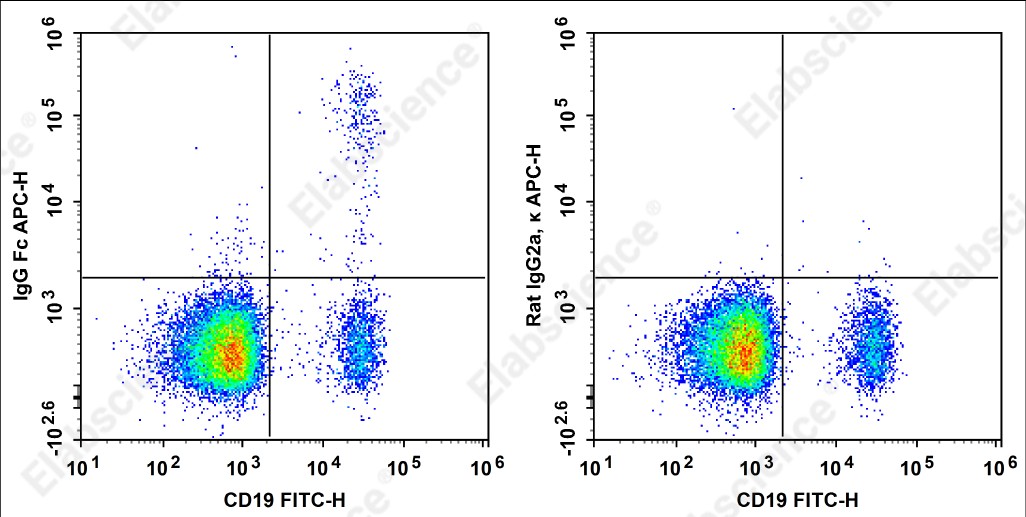 APC Anti-Human IgG Fc Antibody[M1310G05] - 1