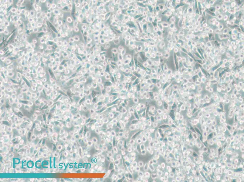 ARD Cell Complete Medium - 6