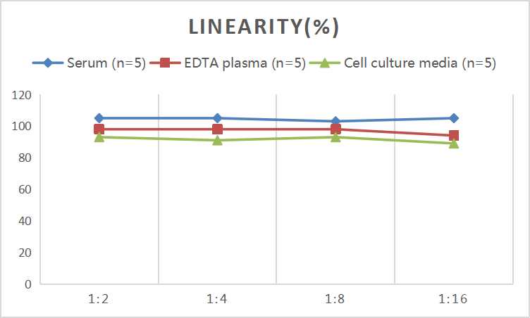 Mini Sample Human IFN-γ (Interferon Gamma) ELISA Kit - small - 2