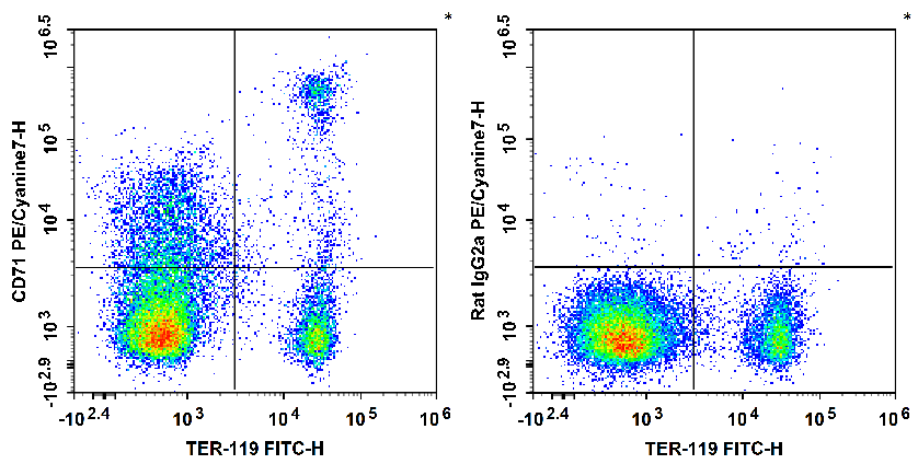 PE/Cyanine7 Anti-Mouse CD71 Antibody[R17 217.1.3/TIB-219]-1